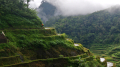 Rice terraces